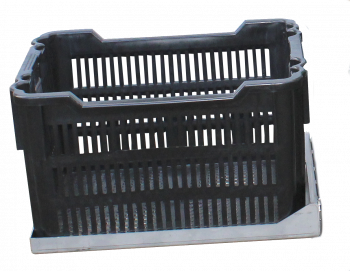 41531203, Biggenmand