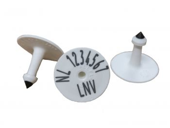 50000535, BTL Mannelijk oormerk voor Gelten en Zeugen / 100 stuks