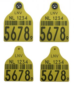 51001001, MD Excellent 2* groot bedrukt paar