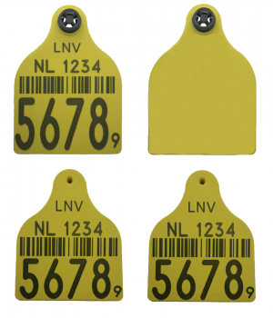 51001002, MD Excellent groot/blanco set 