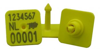 Biggenmerk M2 NL -Bulk / 100 st.