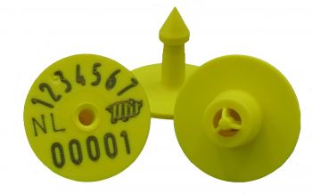 Biggenmerk M6 NL -Bulk / 100 st.