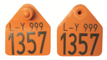 Zeugenmerk M9 Bedrukt