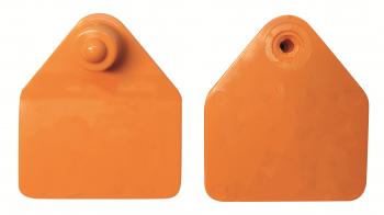 50000477 Zeugenmerk M9 blanko