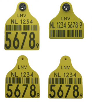 51001003, MD Solide groot/klein set