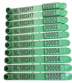 51000253 SE8 Oormerkset